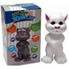 Talking Tom Cat Toy for Kids