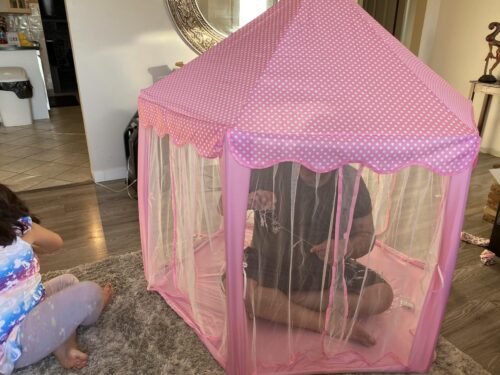 Princess Tent House for Girls and Boys – Foldable Indoor Play Tent for Kids photo review