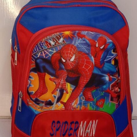 Spiderman School Bag for Kids