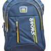 Bag for School and College