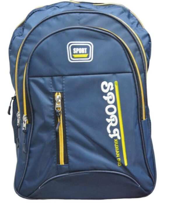 Bag for School and College