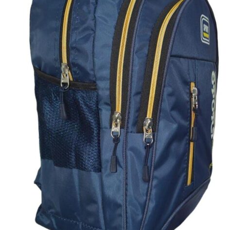bag for school