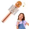 Portable kids Mic with Speaker and Bluetooth