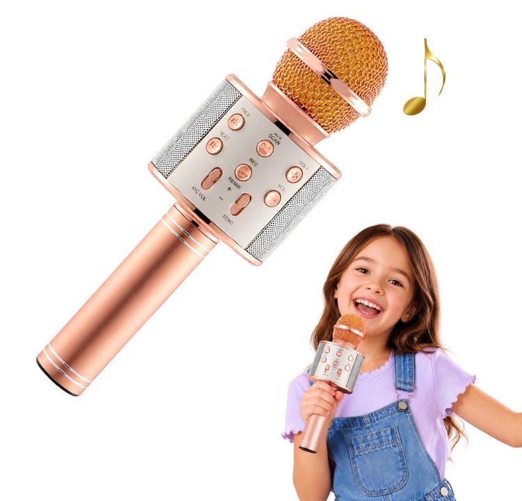Portable kids Mic with Speaker and Bluetooth