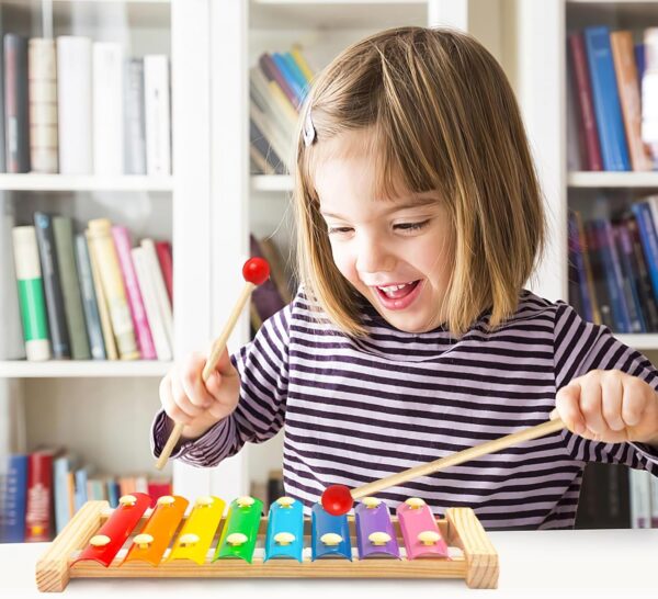 xylophone toy in pakistan