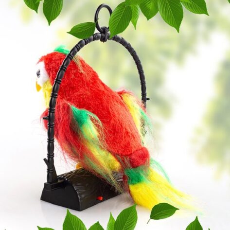 talking parrot for kids