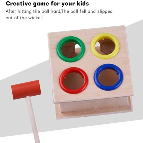 Montessori Learning Toy