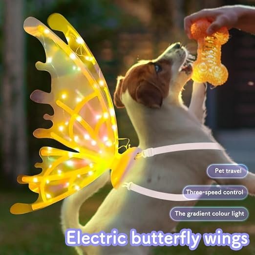glowing fairy wings for kids