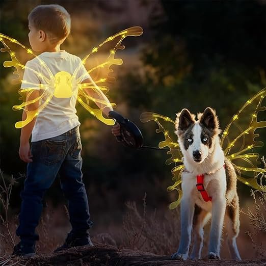 LED butterfly wings